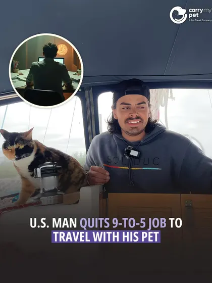A U.S. man quits his 9-to-5 job to travel the world with his pet cat. What a dream.