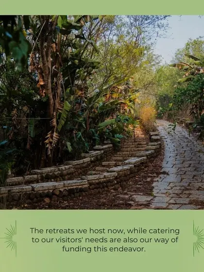 The path to our retreat cottages. The journey into our sanctuary is a transition from the outside world to a space of peace and natural beauty.