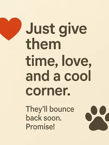 Just give them time, love, and a cool corner. Your dog will bounce back to their normal self once the weather cools down.