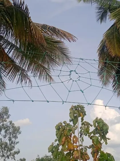 Navigate the spider web net high above the ground. This activity is all about strategy and support, making it a memorable part of any team outing.