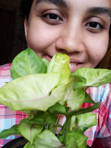 A happy selfie with my Syngonium. It's one of those plants that just makes you smile.