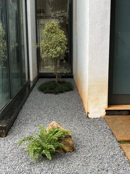 A duplicate image of the minimalist dry rock garden, highlighting the contrast between the fine gravel and the textures of the plants.