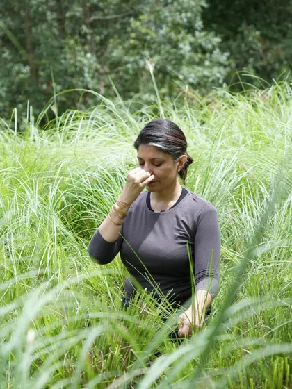 Announcing a deep dive into breathwork with a Pranayama workshop. Regular practice can calm the mind, release stress, and cultivate a steadier, more joyful state of being.