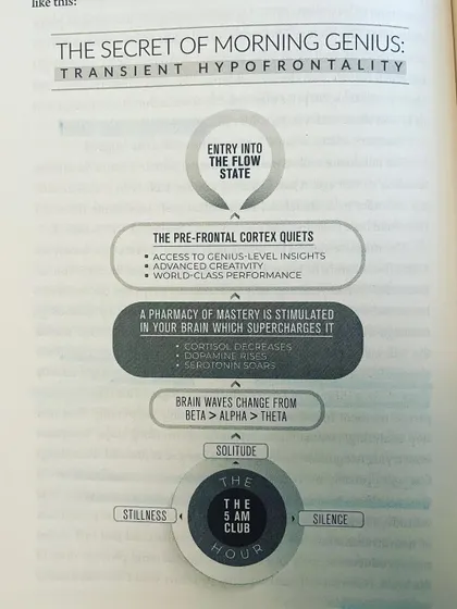 This diagram on "The Secret of Morning Genius" from "The 5 AM Club" illustrates how early morning solitude can quiet the pre-frontal cortex and stimulate a pharmacy of mastery in your brain.