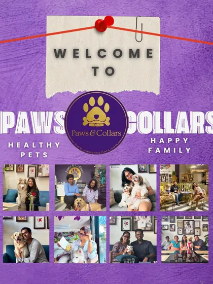 Welcome to Paws & Collars, where our motto is "Healthy Pets, Happy Family". This collage of happy moments from our community wall reflects the joy and connection we foster every day.