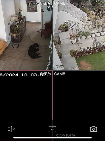A split-screen view showing the indoor living area and the outdoor garden of a home in Gurgaon. This setup allows the homeowner to keep an eye on their pet and property simultaneously.