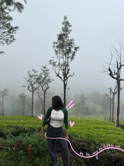 On the way to Dolphin's Nose. I added some cute hearts and a flowing pink line to this misty landscape shot to give it a soft, dreamy quality.