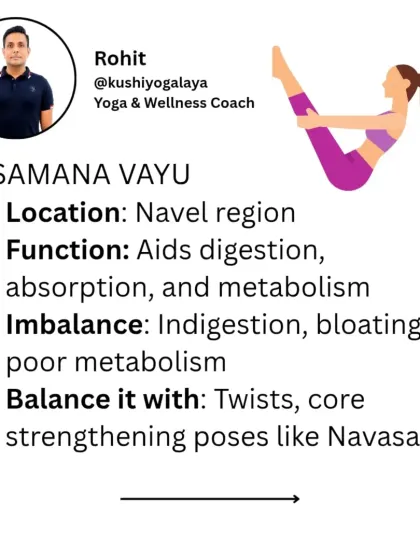 The third is Samana Vayu, located in the navel region. It aids digestion and metabolism. We balance it with twists and core-strengthening poses like Navasana.