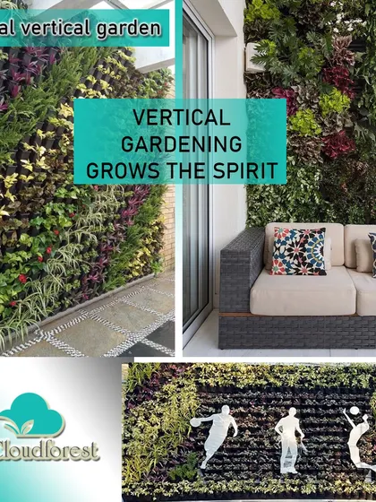 Your garden should be as unique as you are. This collage highlights my custom design capabilities, from creating vibrant tapestries of colorful plants to embedding artistic silhouettes for a truly personal touch. Your wall can be a living work of art.