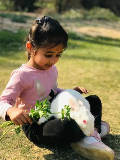A young girl sits on the grass and feeds a leafy snack to a calm white rabbit on her lap.