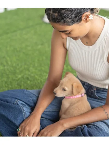 A quiet, gentle moment between a young woman and a small puppy in her lap. Finding a forever home is a calm and loving process.