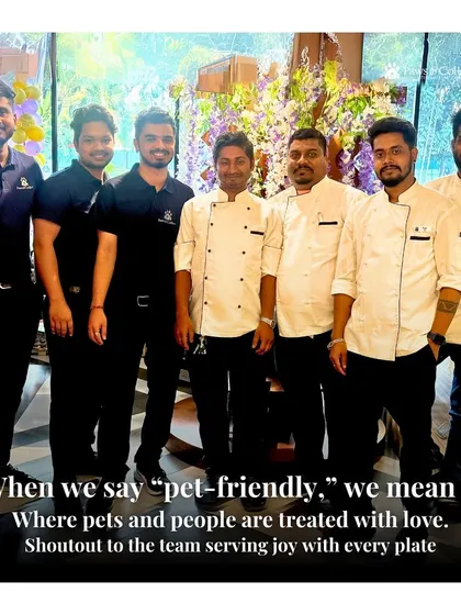 A shoutout to our incredible team. From our chefs to our front-of-house staff, everyone is dedicated to serving joy and treating every pet and person with love.