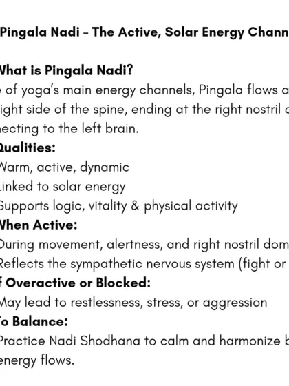 Pingala Nadi is the active, solar energy channel. It flows along the right side of the spine, supports logic and vitality, and is linked to the sympathetic nervous system.
