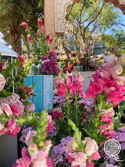 A close-up from the 'City of Flowers' event, showing a mix of pink, purple, and white snapdragons, hydrangeas, and other blooms, creating a lush, garden-like feel.