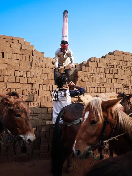 Workers and their mules at a brick kiln in Bihar. The image shows the symbiotic relationship between humans and animals in this line of work.