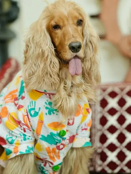 Posto looking handsome in his colorful Holi-themed kurta for the ceremony.