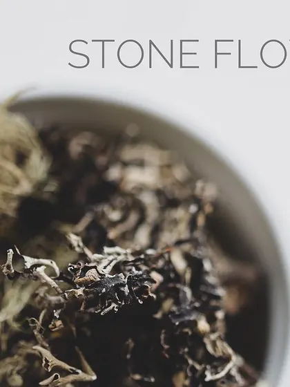 A macro shot of stone flower, a lichen that grows on rocks and adds an unmistakable umami depth to spice blends.