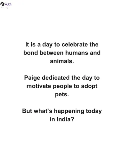 On International Dog Day, we ask a tough question: what is really happening for animals in India? We highlight the harassment faced by community feeders and the ongoing struggles.