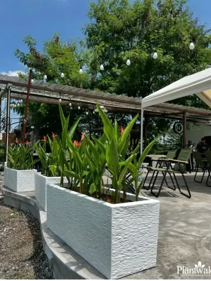 For this outdoor cafe area, we used textured white planters filled with flowering Bird of Paradise plants to define the space and add a vibrant, tropical touch.