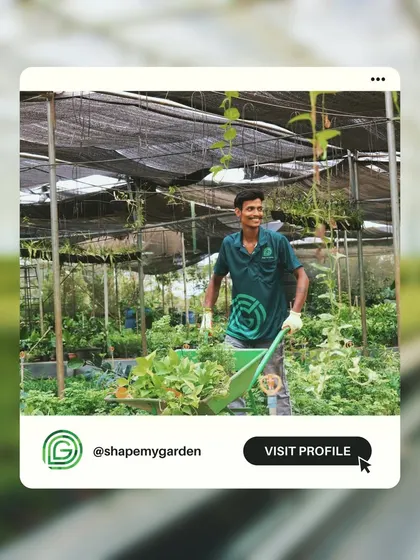 One of my happy team members at our nursery, surrounded by the thousands of plants we grow and care for. We are passionate about what we do.
