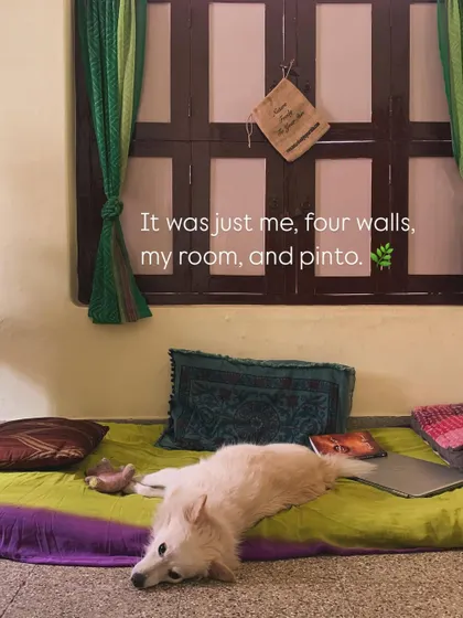 Every journey has a beginning. Mine started with silence, a four-walled room, and my dog, Pinto. This quiet chapter of burnout and rediscovery is where the seed for The Janbo was planted, long before I ever touched clay.