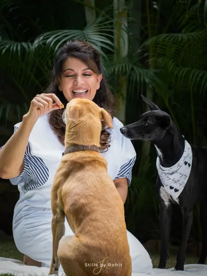 A fun moment during treat time! This image captures the focus and excitement of two dogs interacting with their mom in their own backyard, a typical and heartwarming daily scene.