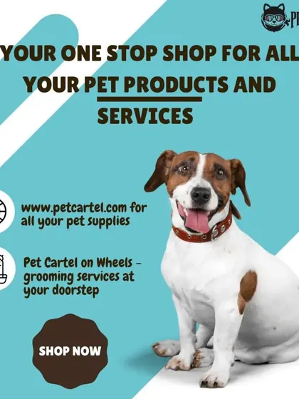 This graphic summarizes our two main offerings: our online store for all your pet supplies and our "Pet Cartel on Wheels" for doorstep grooming services.