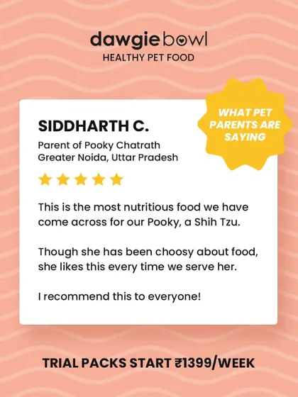 For a picky Shih Tzu to love her food every time is a huge win! I am thrilled that our nutritious recipes are recommended by pet parents as a solution for even the fussiest of eaters.