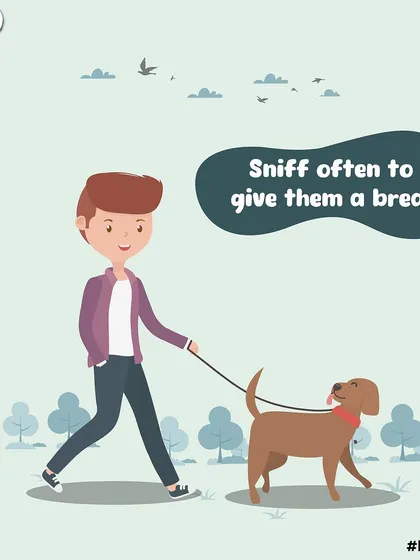How to walk a hooman, part three: sniff often to give them a break. They seem to appreciate the pauses.