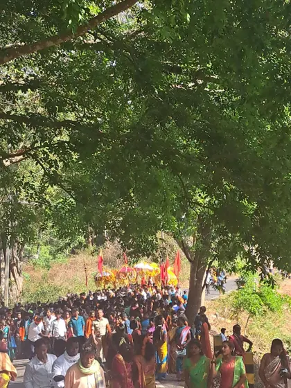 The long procession of the Soliga tribe, walking through the forest roads for their festival.