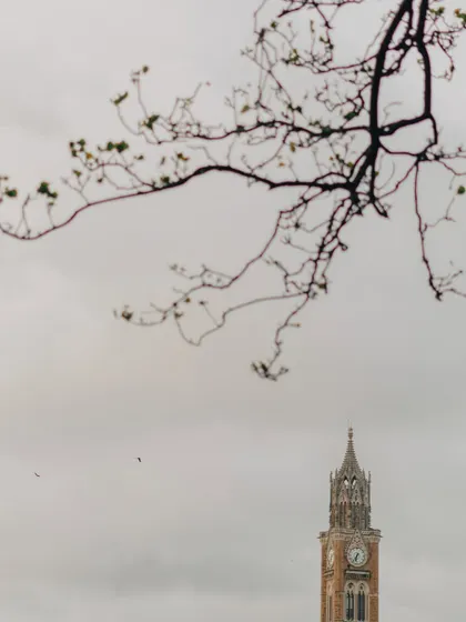 A series of photographs capturing the architectural memory of old Bombay. These images feature landmarks like the Rajabai Clock Tower, the Asiatic Society Library, and other colonial-era structures, often framed by trees.