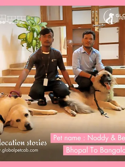 Noddy and Bella with their handlers after arriving in Bangalore from Bhopal. We ensure a safe handover at the destination, completing our door-to-door service promise.
