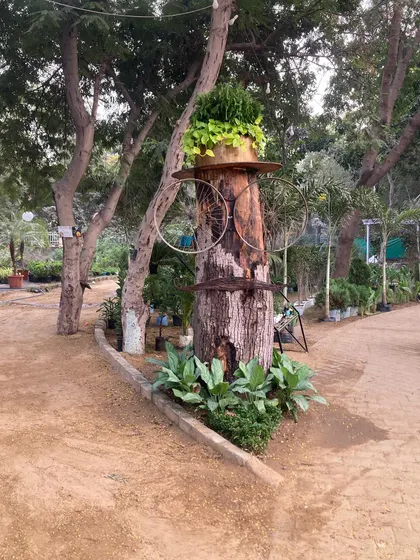 One of our creative displays, a tree trunk decorated with bicycle wheels and a mustache, shows the fun and artistic spirit of our store.
