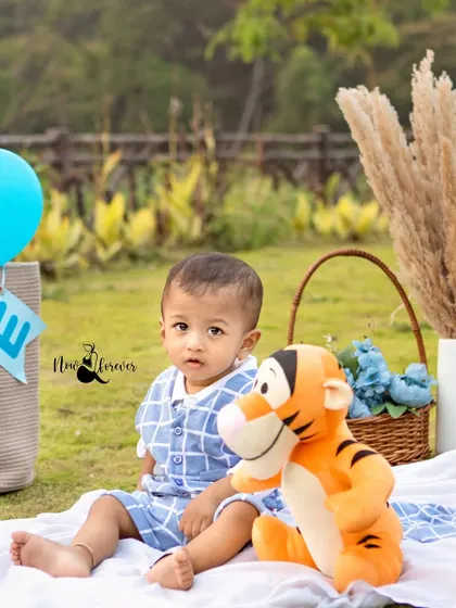 A quiet moment during a fun filled first birthday picnic. This little boy sits with his Tigger toy amidst the festive setup.