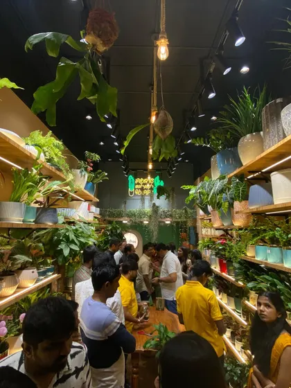 The best part of my day is seeing the studio buzzing with fellow plant enthusiasts. It's a joy to share this space with a community of people who find happiness in greenery, just like I do.