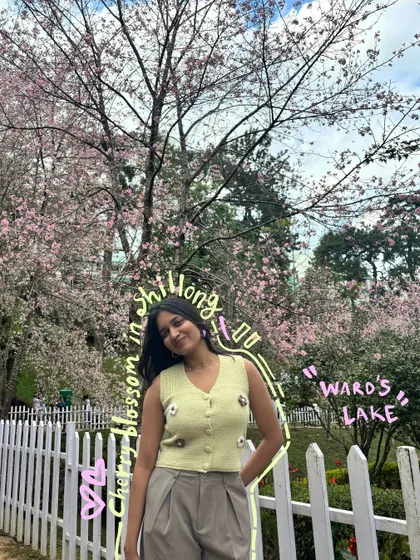 A photo from the cherry blossom festival in Shillong, with text doodles identifying the location.