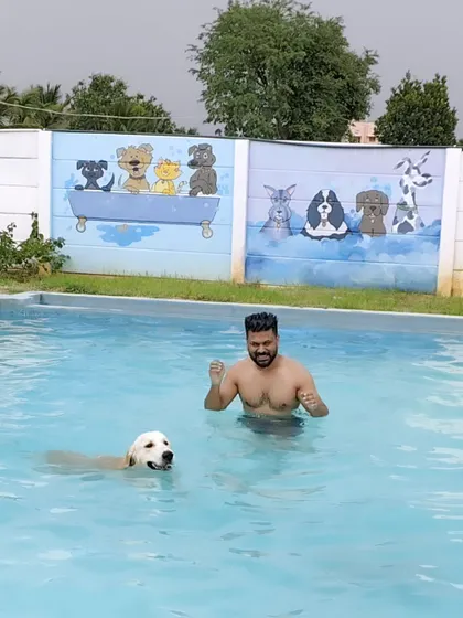 A happy owner and their Golden Retriever enjoying a birthday swim. Our pool is a popular spot for celebrating special occasions.
