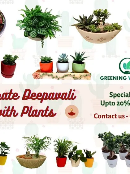 A special offer for Deepavali, with up to 20% discount on our wide range of plant gifts.