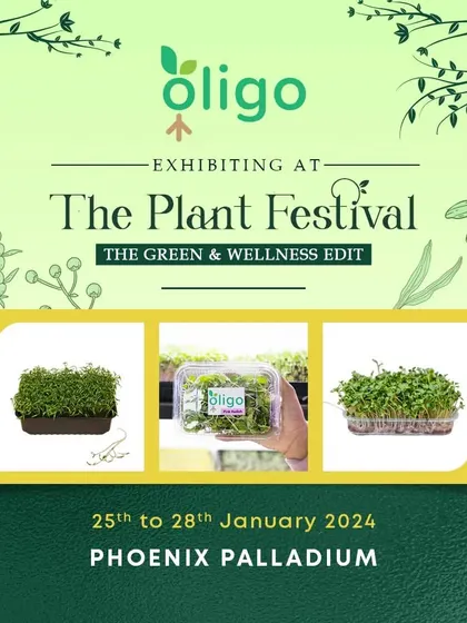 Our festival is a launchpad for innovative brands like Oligo Microgreens, connecting them with thousands of people looking for fresh, locally-grown produce.