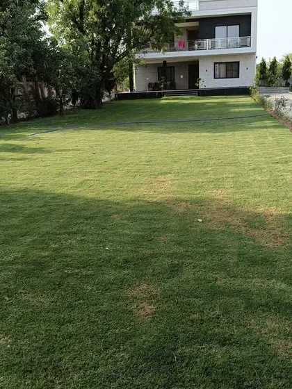 A beautiful, sprawling lawn I installed for a modern villa. My grass provides a perfect, even green cover that enhances the look of any home.