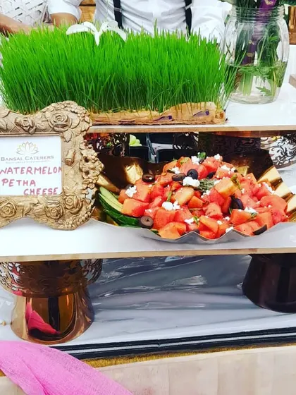 My Watermelon Petha Cheese salad, a unique fusion dish, displayed on an ornate stand with a wheatgrass base.