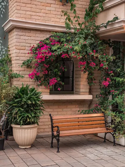 The bougainvillea climbing the brick facade is a nod to my past on the Amalfi Coast. This picturesque spot with a simple bench offers a quiet moment and a beautiful photo opportunity for your guests.