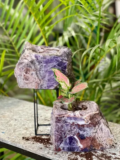Amethyst crystal planters, one on a stand and one with a small plant. These natural formations are believed to clear negative energy, making them a perfect gift for a loved one or for yourself.
