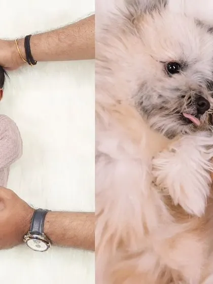 A collage showcasing different moments from a family session that included their beloved dog, from parent poses to the baby and pet together.