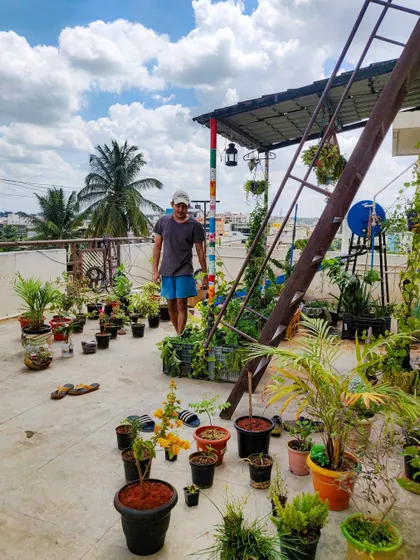 This was taken during the early stages of setting up a new section of the garden. It's a process of arranging, rearranging, and finding the perfect spot for each plant to thrive.