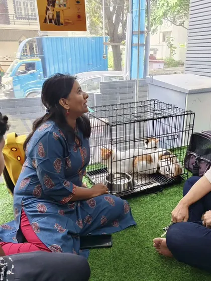 A group discussion during our cat adoption drive. It's a community effort, with rescuers, adopters, and our team all working together for the animals.