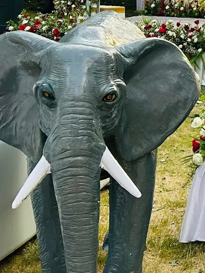 A close-up of the realistic elephant statue, a popular prop that adds a touch of royal grandeur to weddings and engagements.
