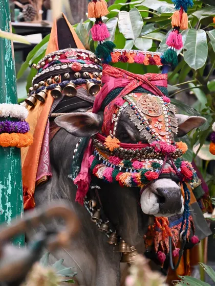 A beautifully decorated Nandi statue, part of our new collection for Makar Sankranti. This festival symbolizes the harvest season, and our pieces are designed to foster community and gratitude.