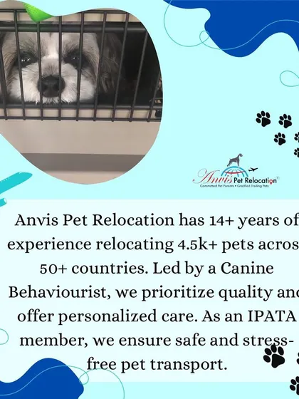 With over 14 years of experience and as a member of IPATA, we are certified experts in pet transport. Led by a Canine Behaviourist, we prioritize quality and personalized care for a stress-free journey.