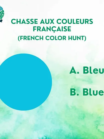 Time for a French color hunt. Is this color "Bleu" or "Blue"? Test your spelling and vocabulary.